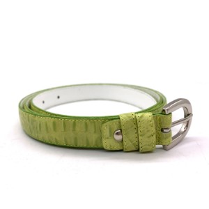 Picture of Lady Belt, Green Exotic