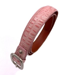 Picture of Lady Belt, Pink Exotic